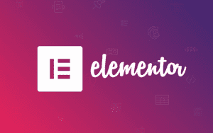Elementor Review Photo