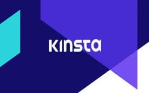 Kinsta Review Photo
